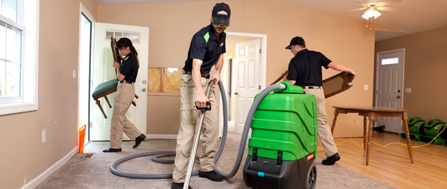 Manayunk, PA cleaning services